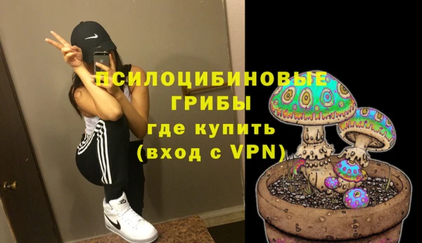 бошки Зерноград