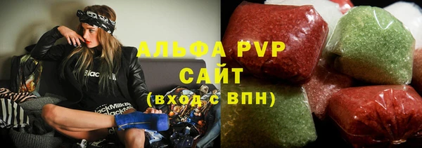 индика Заволжск